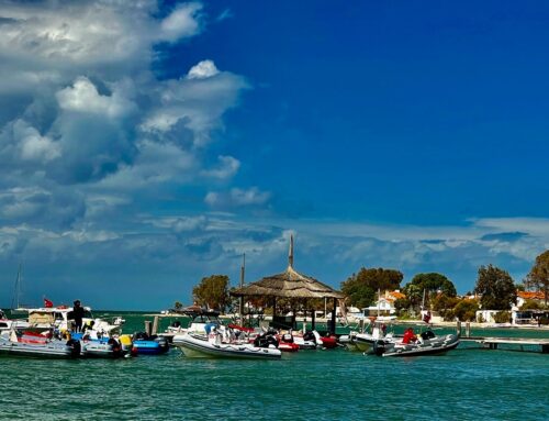 2026 Mark Warner Phokaia Beach Resort Techno293 & Techno293Plus World Championships begin in Foça